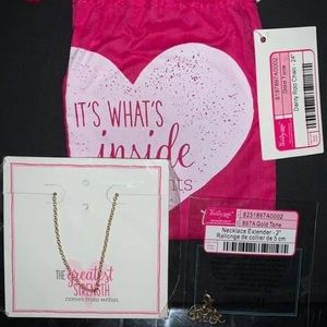 24in Dainty Rolo Chain and 2in extender set